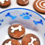 biscotti pan di stelle per cani